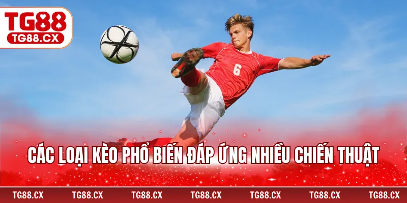 Các loại kèo phổ biến đáp ứng nhiều chiến thuật