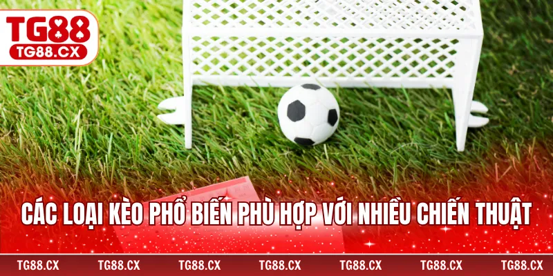 Các loại kèo phổ biến phù hợp với nhiều chiến thuật