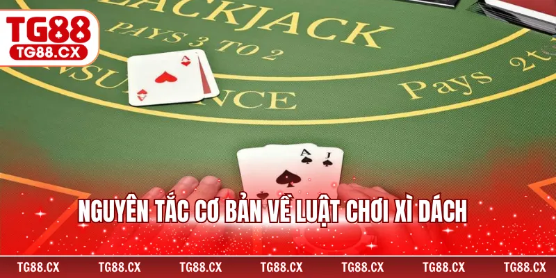 Nguyên tắc cơ bản về luật chơi xì dách