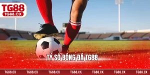 Tỷ Số Bóng Đá TG88 - Cập Nhật Nhanh Chóng, Chính Xác