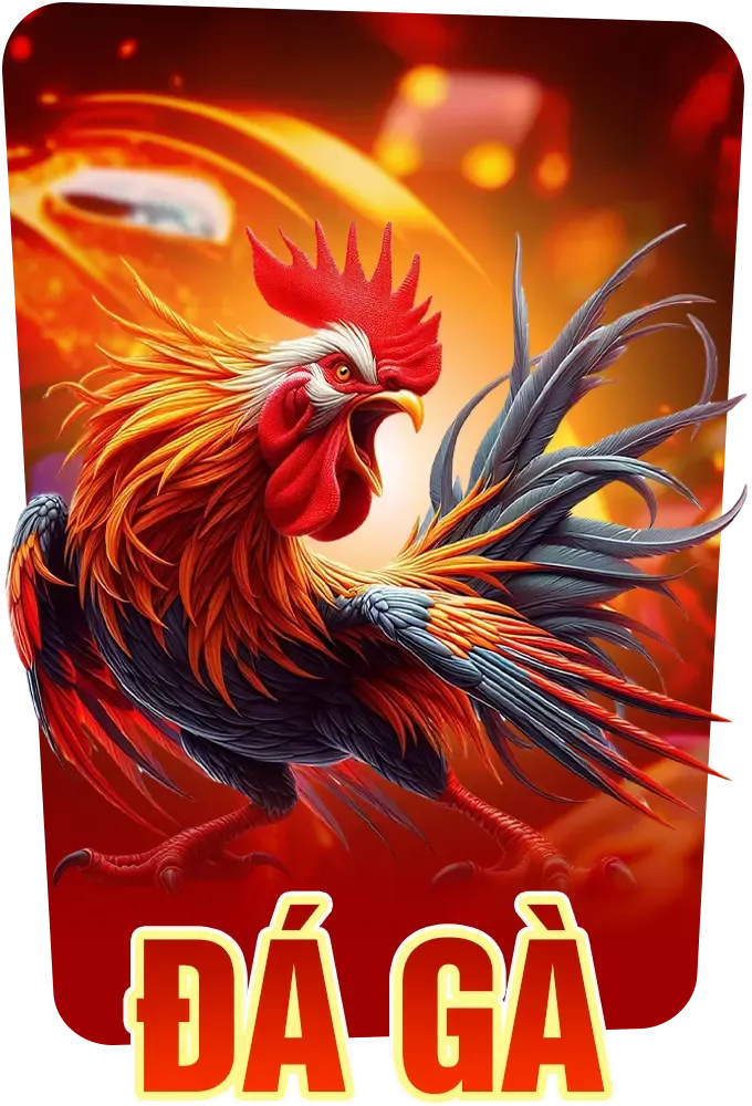 đá gà tg88